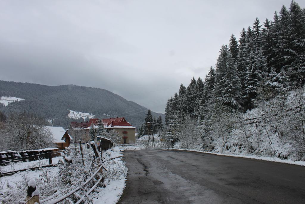 Sadyba Kazkove Dzherelo Verkhovyna Extérieur photo