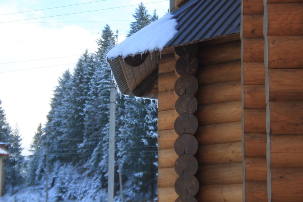 Sadyba Kazkove Dzherelo Verkhovyna Extérieur photo